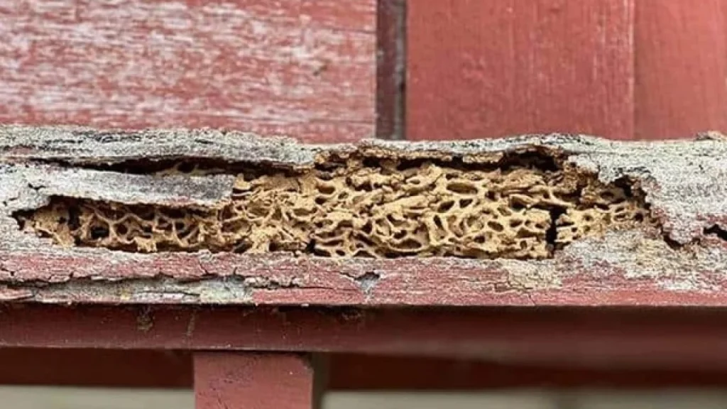 ezgif.com-gif-maker-2022-08-18T152442.609-1280x720